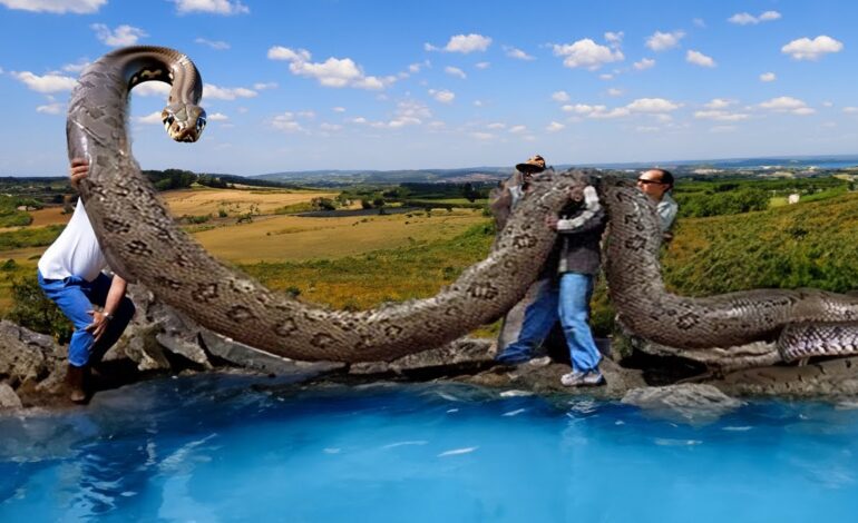 Could a 40-Foot Snake Still Exist? 2024 Titanoboa Claims Examined
